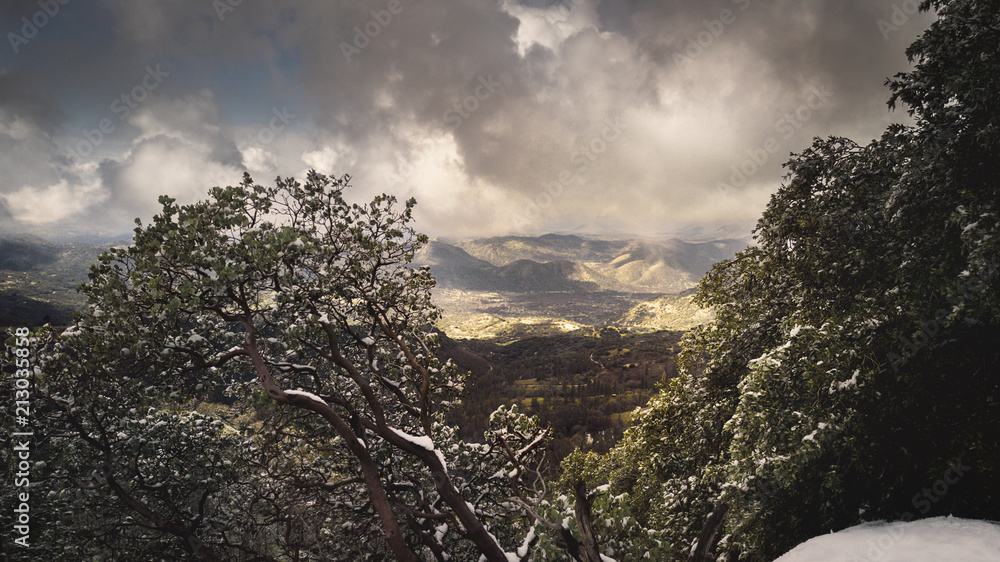 Wunschmotiv: Tiefe Wolken im Yosemite National Park #213035858 | Motive |  Druck-Shop24 - Ihr Foto auf Leinwand, Fotopapier, Poster, Alu Dibond,  Acrylglas, Klebefolie oder Forex
