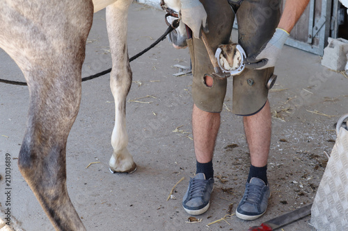 un maréchal ferant change le fer d'un cheval et plante des clous dans le sabot