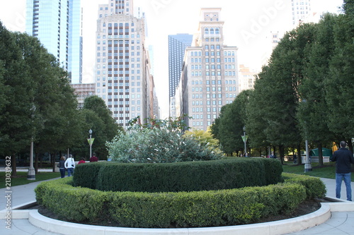 Millenium park walkway