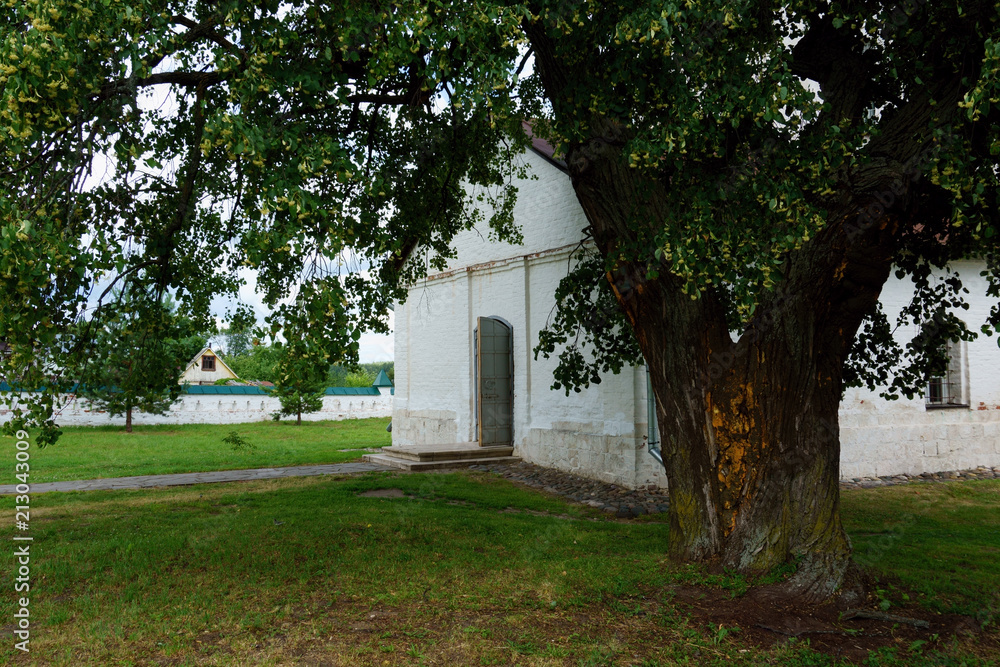 Church of Sts Boris and Gleb in Kideksha