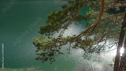 Black Lake (Little Lake) of emerald color with a pine branch. Zabljak, Montenegro. photo