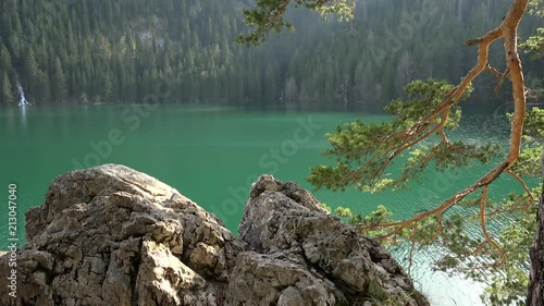 Black Lake (Little Lake) of emerald color with a pine branch and a rock. Zabljak, Montenegro. photo