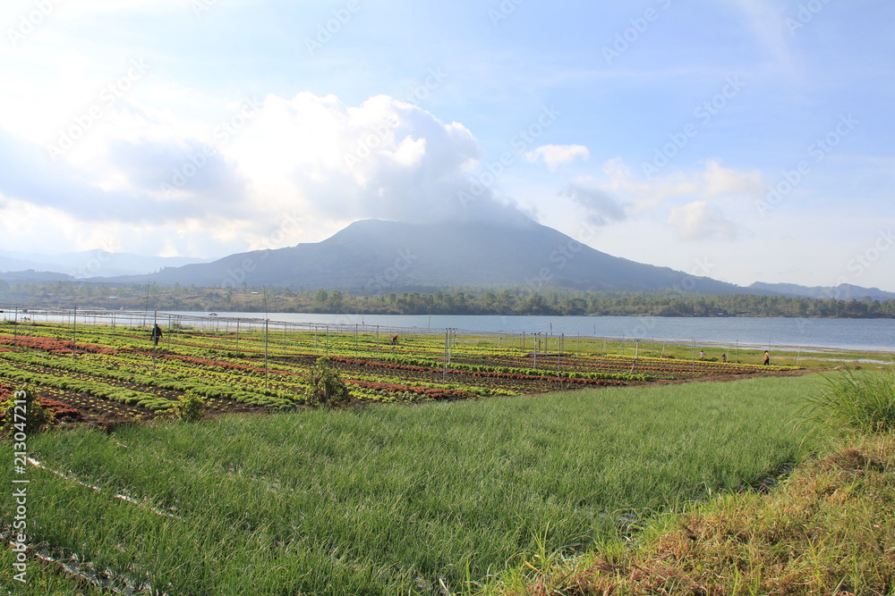 Fototapeta premium Mont Batur