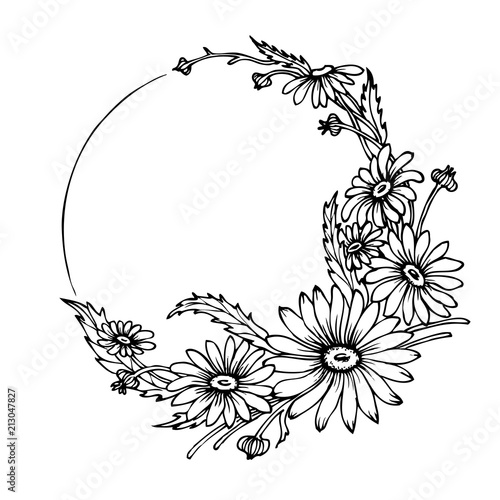Hand drawn wreath with Chamomile flowers.Vector floral illustration in vintage style. 