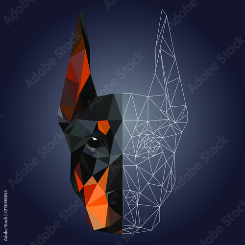Low poly triangular dog doberman face on dark background,  vector illustration EPS 10 isolated.  Polygonal style trendy modern logo design. Suitable for printing on a t-shirt.