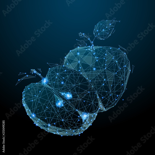 Two apples. Low poly blue. Polygonal abstract diet illustration. In the form of a starry sky or space. Vector image in RGB Color mode.