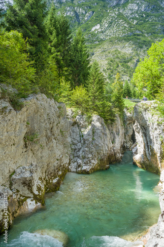 Lepena Ravin, Slovenia, blue water, tree, rock
