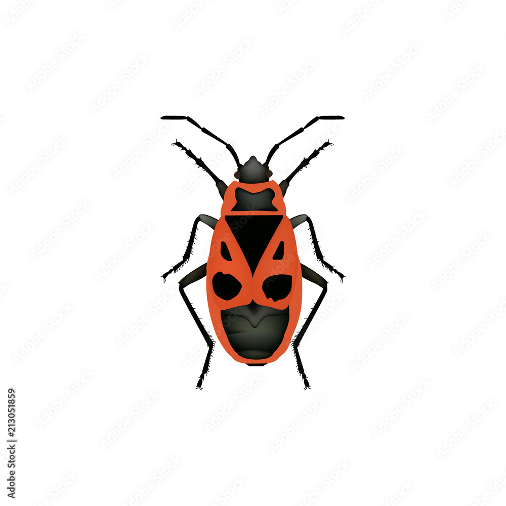 Red bug. Firebug. Vector illustration. Red bug. Firebug. Vector illustration.