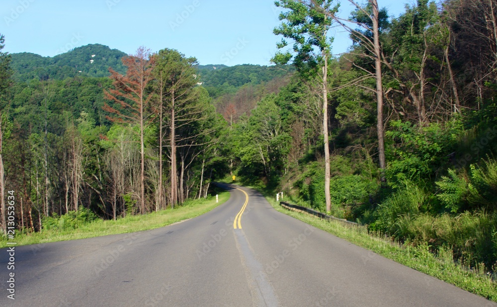 A empty mountain highway on a sunny summer morning. A empty mountain highway on a sunny summer morning.