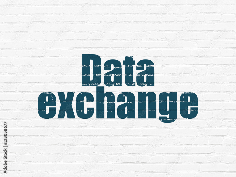 Information concept: Painted blue text Data Exchange on White Brick wall background Information concept: Painted blue text Data Exchange on White Brick wall background