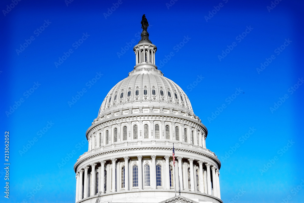 Obraz premium United States Capitol Building in Washington DC