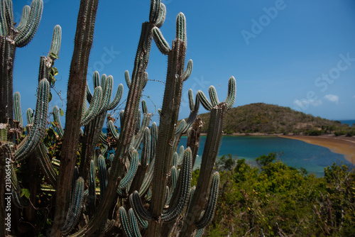 Culebra Island