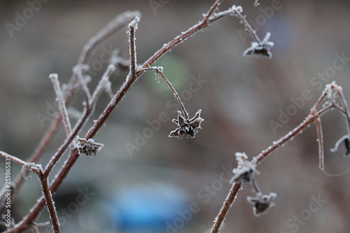 Winter in Helsinki_Aleksey Cheshuk