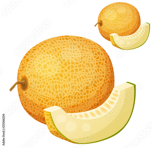 Melon. Vector icon isolated on white background