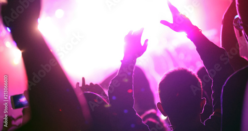 Wallpaper Mural Cheering crowd at concert enjoying music performance Torontodigital.ca