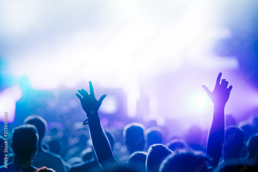 Cheering crowd with hands in air at music festival