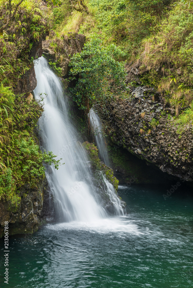 Fototapeta premium Beautiful Maui Waterfall