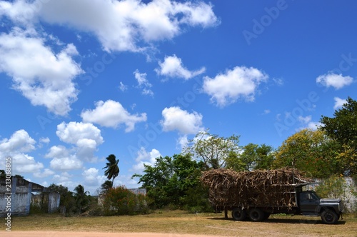 Flowers Landscape Farm