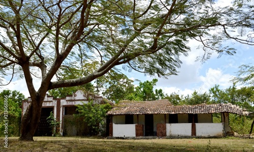 Flowers Landscape Farm