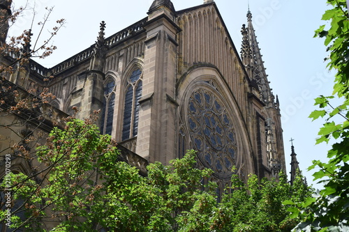 catedral edificio