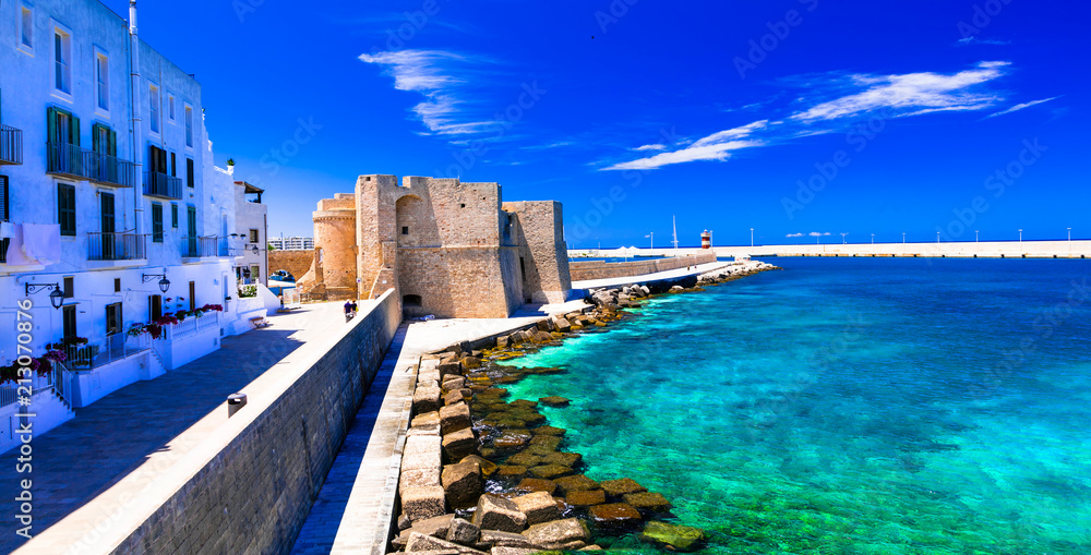 Beautiful coastal tow Monopoli in Puglia, view with medieval castle. Italy