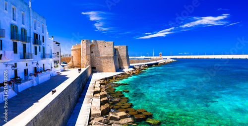 Fotografie Beautiful coastal tow Monopoli in Puglia, view with medieval castle