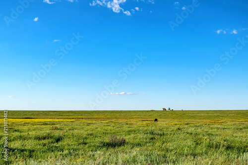 Rural summer landscape with field, horse and house photo