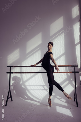 Fototapeta Naklejka Na Ścianę i Meble -  Young beautiful pregnant ballerina is posing in studio