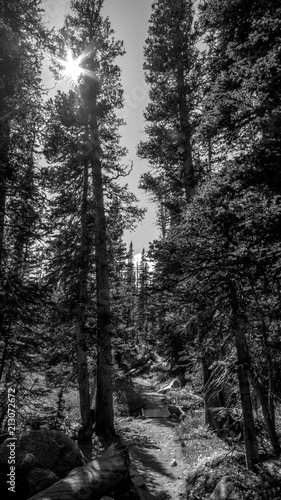 Colorado Lake Isabelle