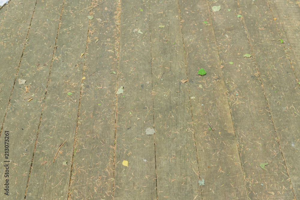 Obraz premium fallen spruce needles and leaves on wooden desk floor