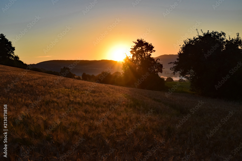 Fototapeta premium Sonnenaufgang an der Weser
