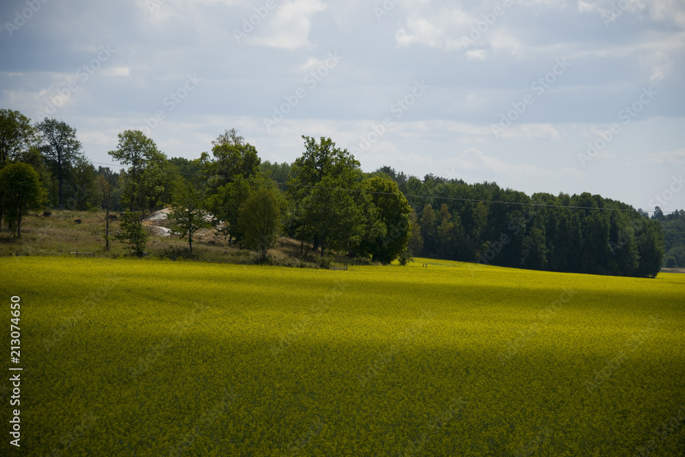 Rural landscape at Ekerö in summer, Stockholm Rural landscape at Ekerö in summer, Stockholm