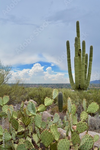 Monsoon Season Arizona Linda Vista Trail Oro Valley Tucson Desert Landscape