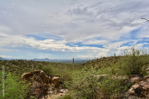 Monsoon Season Arizona Linda Vista Trail Oro Valley Tucson Desert Landscape