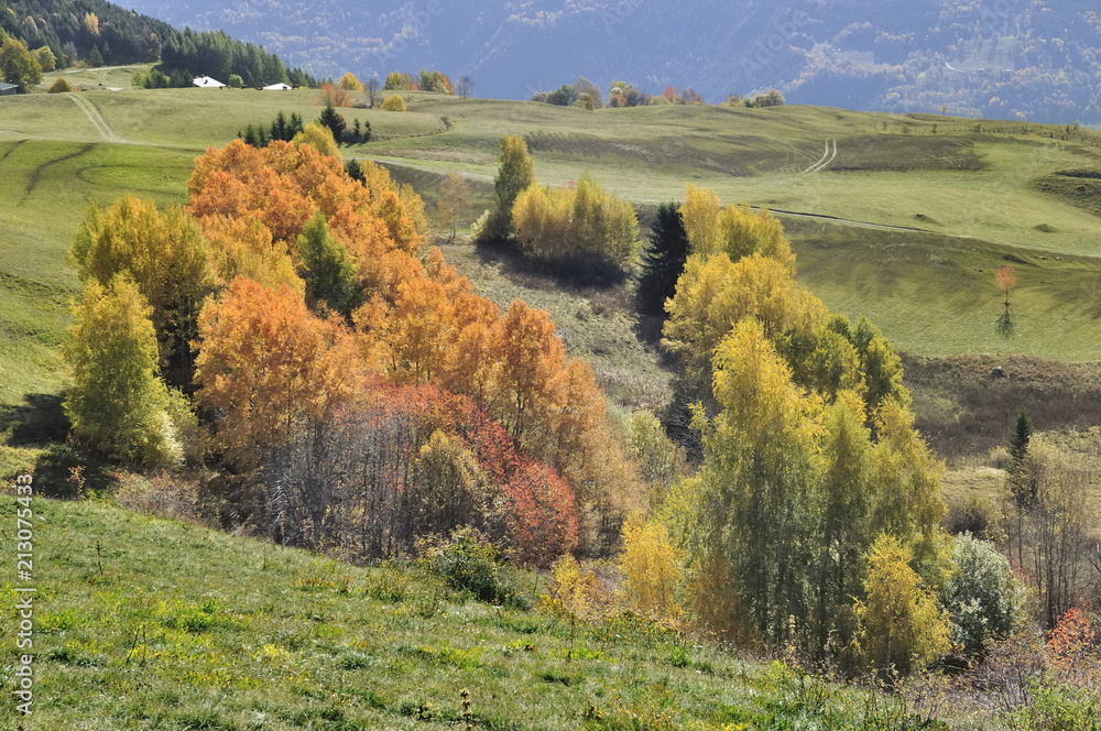 beautiful landscape in alpine mountain with colorful trees in autumn