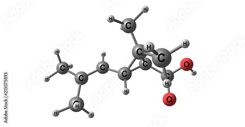 Chrysanthemic acid molecular structure isolated on white photo