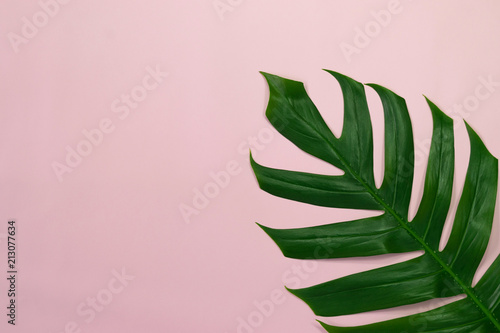 Top view of green leaf on yellow,pink background for present  product and put your text on