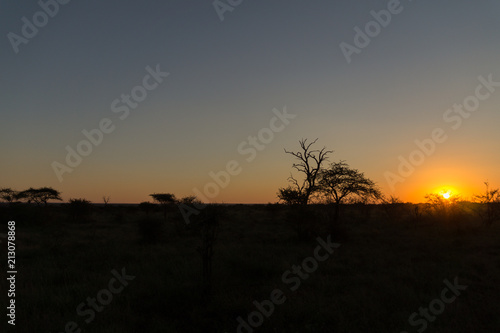 Sunset on Kruger NP, South Africa