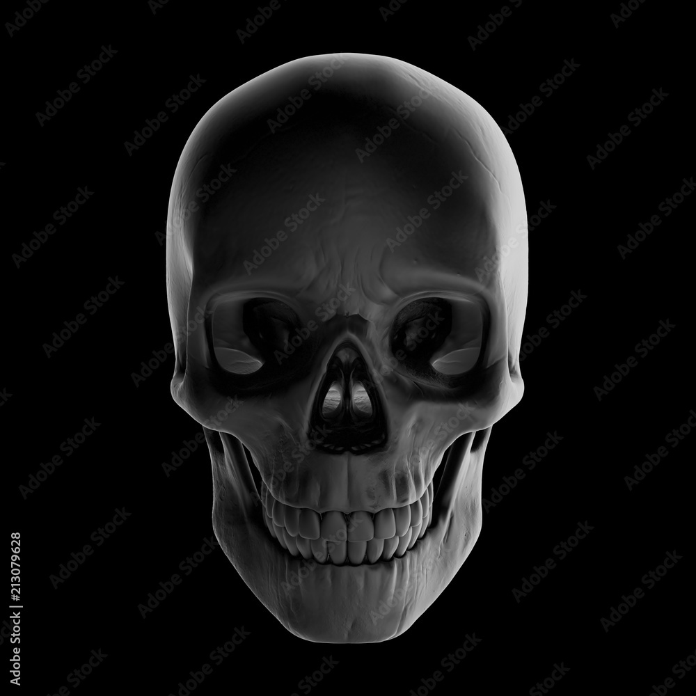 Fototapeta premium Human skull. 3d rendering