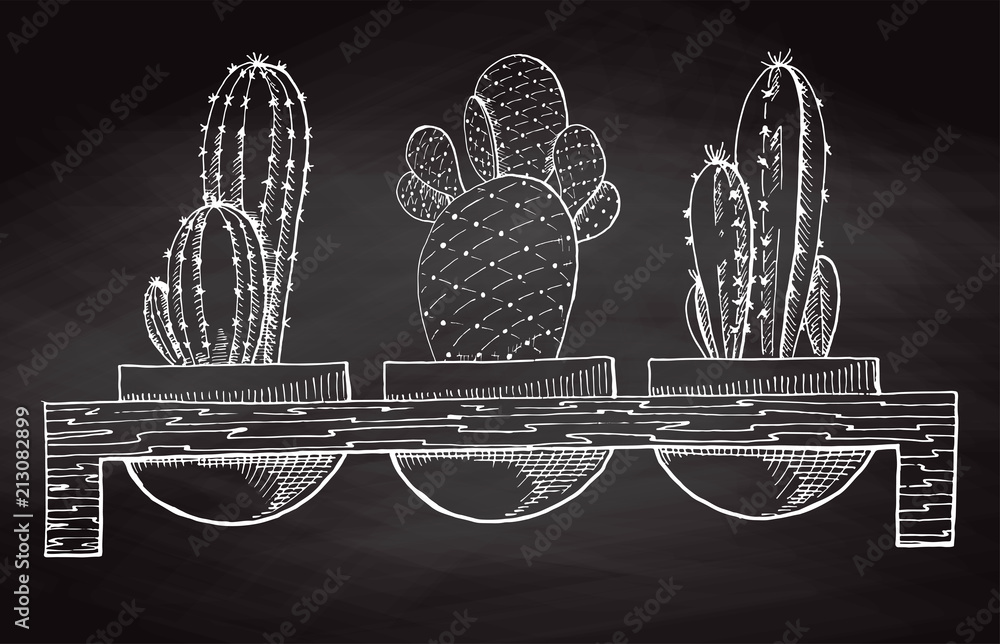 Naklejka premium Sketch three succulents in pots on a wooden stand isolated on the chalkboard. Vector illustration