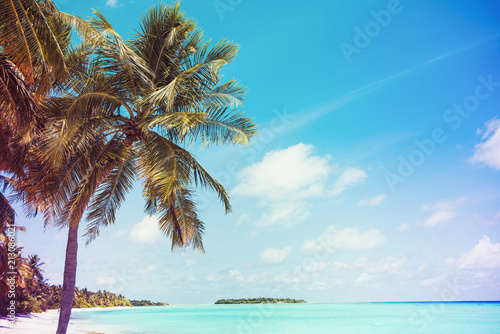 Palm trees against blue sky, Palm trees at tropical coast, coconut tree. Summer time photo. Holidays at Maldives