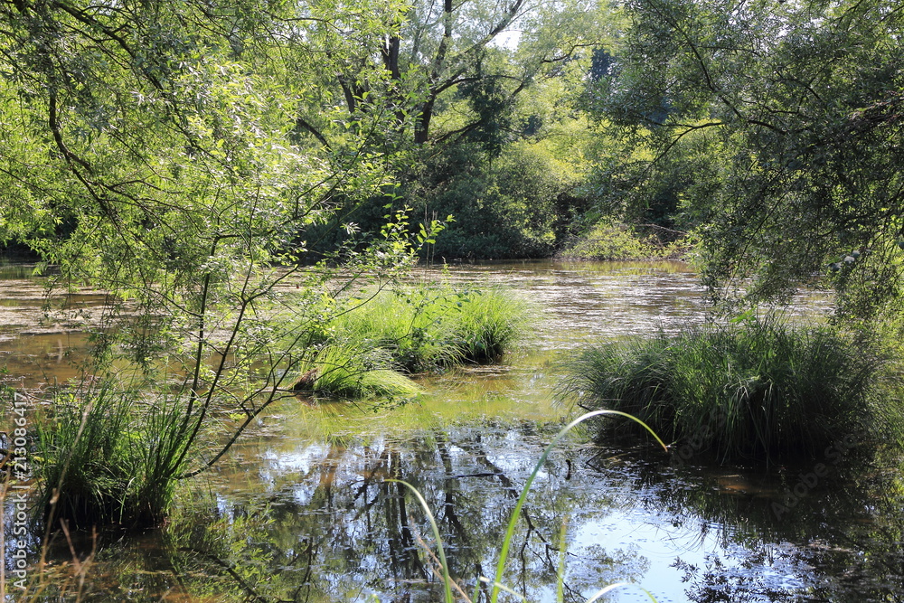 Petite Camargue alsacienne