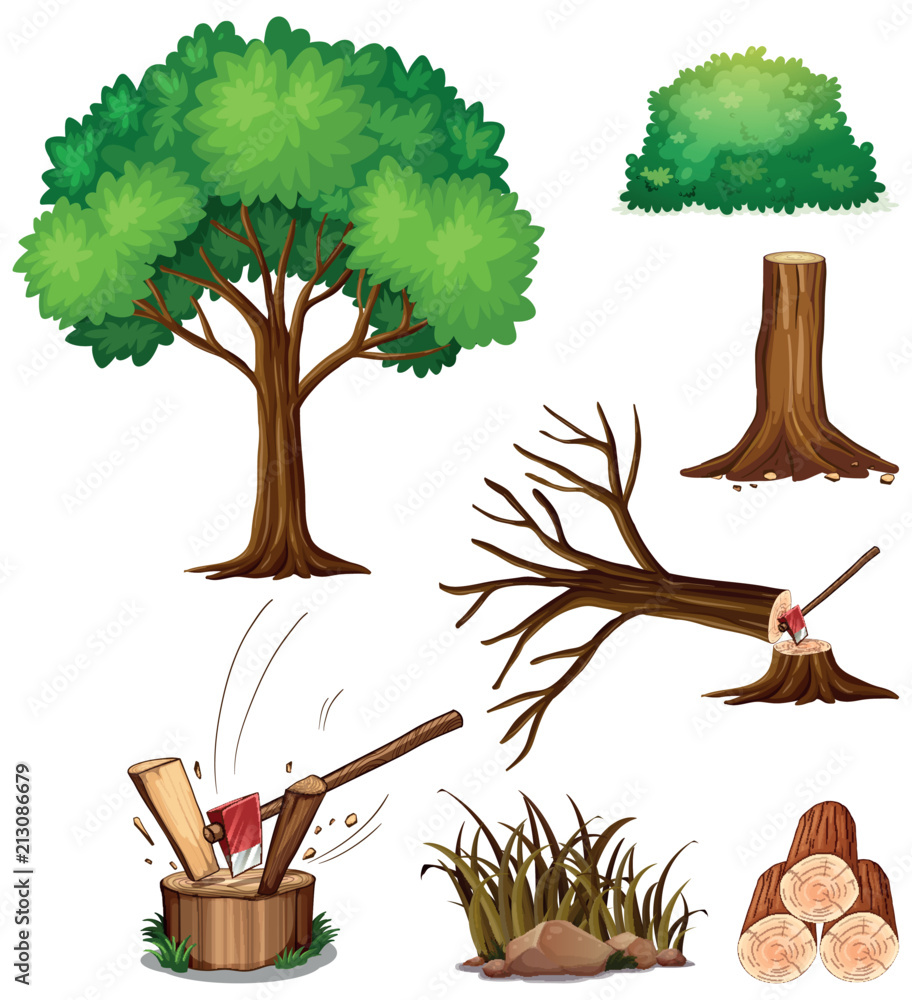 A Set of Cutting Tree