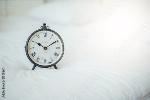 Vintage clock in bed
