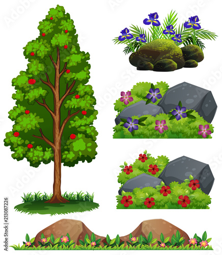A Set of Forest Element
