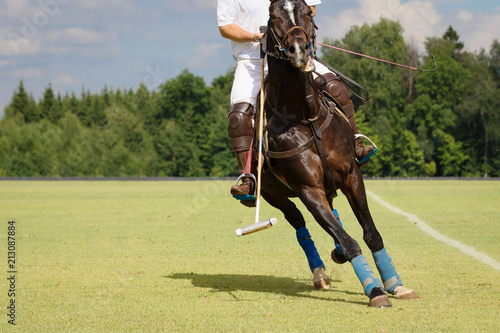 Horse Polo Player with mallet in the game action