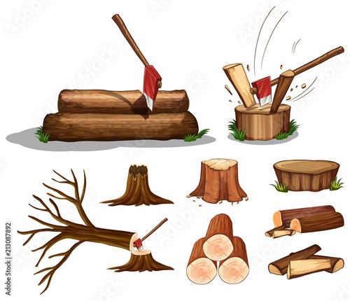 A Set of Tree and Wood