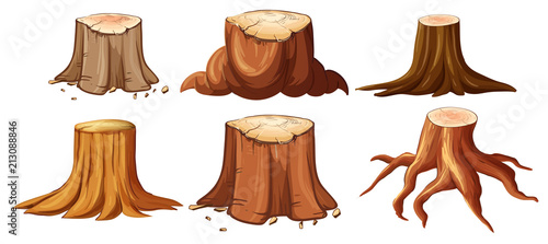 A Set of Different Stump