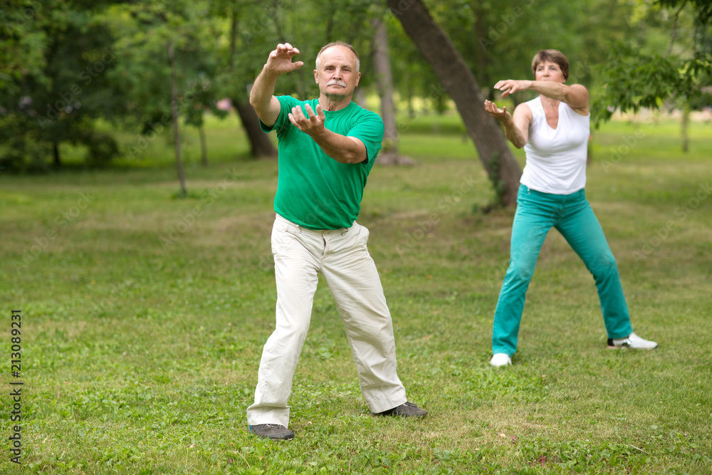 Senior couple practice Tai Chi Chuan in a park.  Chinese management skill Qi's energy.