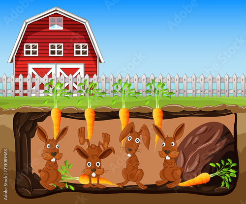 Rabbit Living Underground Farm